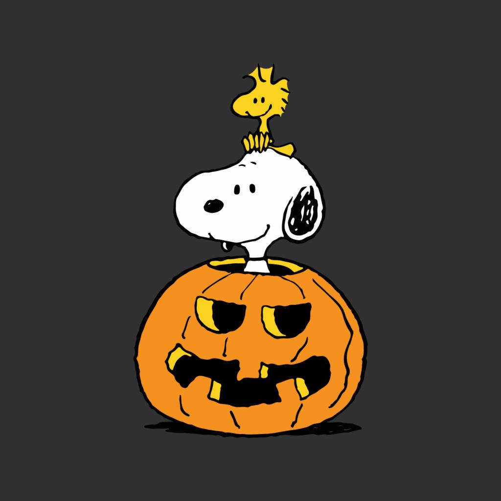 Peanuts Halloween Snoopy And Woodstock Women S T Shirt Ebay